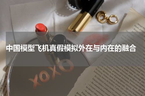  中国模型飞机真假模拟外在与内在的融合