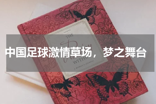  中国足球激情草场，梦之舞台