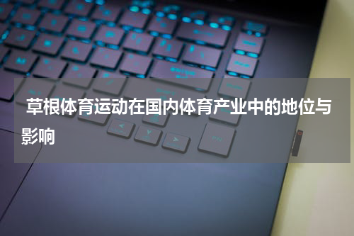  草根体育运动在国内体育产业中的地位与影响