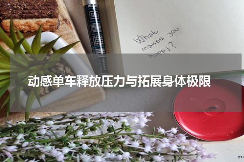  动感单车释放压力与拓展身体极限