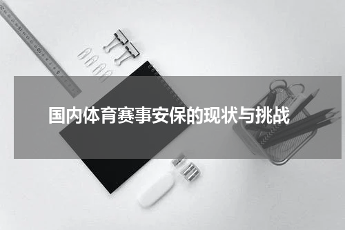  国内体育赛事安保的现状与挑战