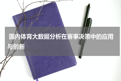  国内体育大数据分析在赛事决策中的应用与创新