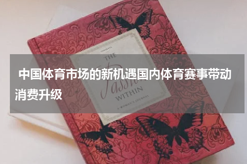  中国体育市场的新机遇国内体育赛事带动消费升级