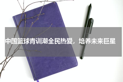  中国篮球青训潮全民热爱，培养未来巨星