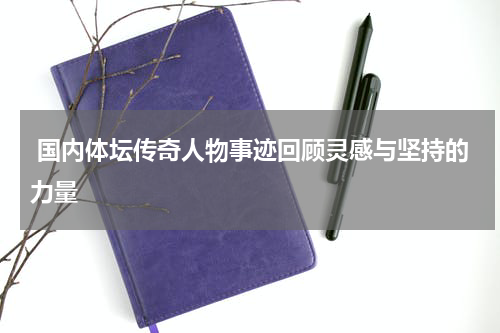  国内体坛传奇人物事迹回顾灵感与坚持的力量