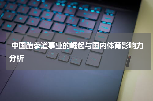  中国跆拳道事业的崛起与国内体育影响力分析