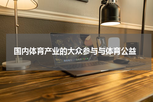  国内体育产业的大众参与与体育公益