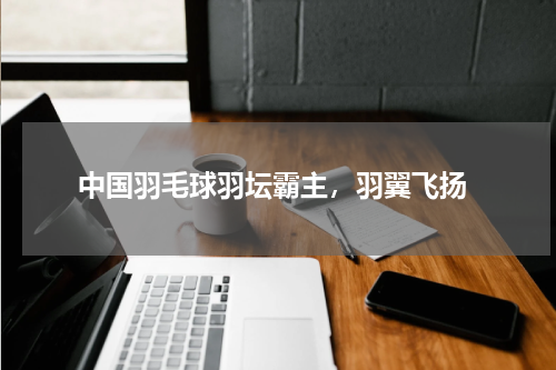  中国羽毛球羽坛霸主，羽翼飞扬