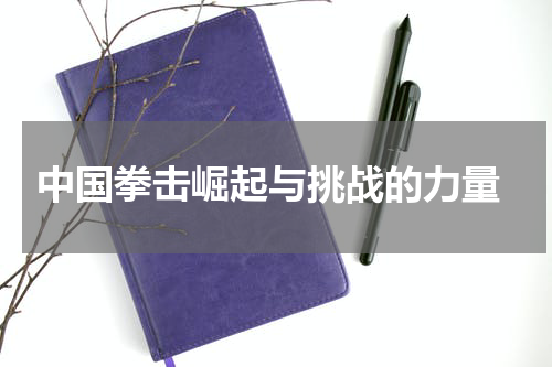  中国拳击崛起与挑战的力量