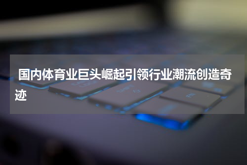  国内体育业巨头崛起引领行业潮流创造奇迹