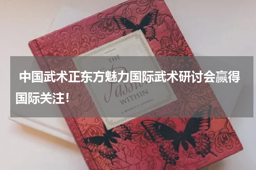  中国武术正东方魅力国际武术研讨会赢得国际关注！
