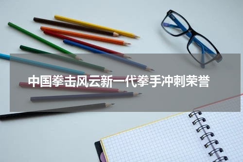  中国拳击风云新一代拳手冲刺荣誉