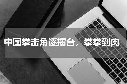  中国拳击角逐擂台，拳拳到肉