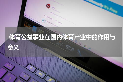  体育公益事业在国内体育产业中的作用与意义