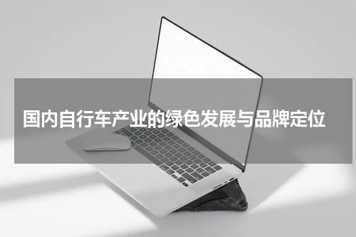  国内自行车产业的绿色发展与品牌定位