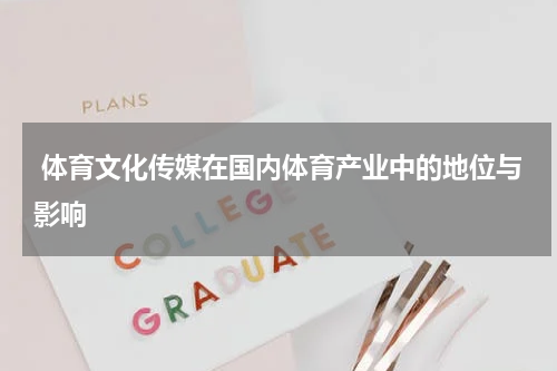  体育文化传媒在国内体育产业中的地位与影响