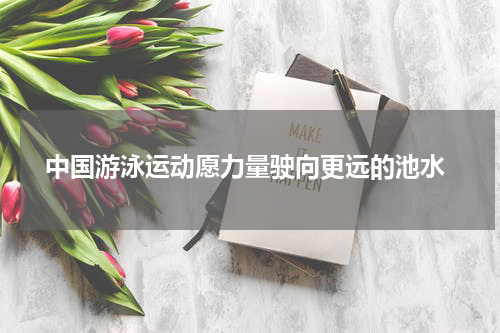  中国游泳运动愿力量驶向更远的池水
