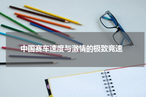 中国赛车速度与激情的极致竞速