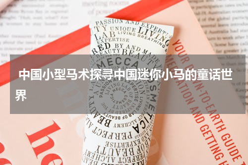 中国小型马术探寻中国迷你小马的童话世界