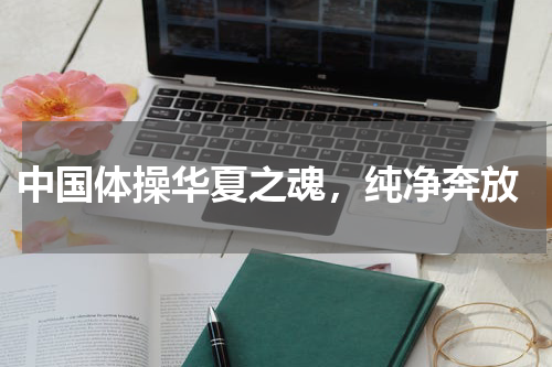  中国体操华夏之魂，纯净奔放