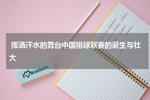  挥洒汗水的舞台中国排球联赛的诞生与壮大