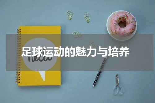  足球运动的魅力与培养