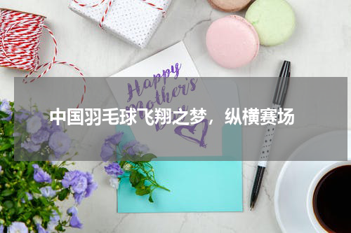  中国羽毛球飞翔之梦，纵横赛场