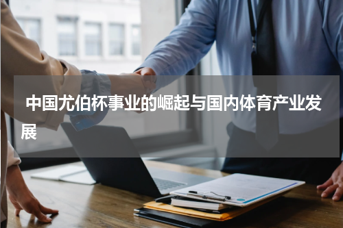  中国尤伯杯事业的崛起与国内体育产业发展