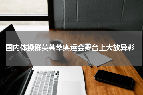  国内体操群英荟萃奥运会舞台上大放异彩