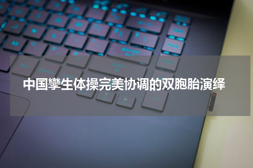  中国孿生体操完美协调的双胞胎演绎