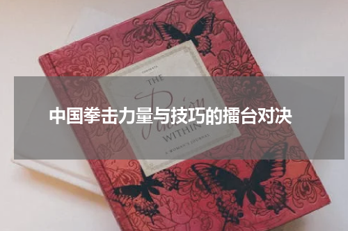  中国拳击力量与技巧的擂台对决