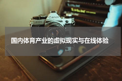  国内体育产业的虚拟现实与在线体验