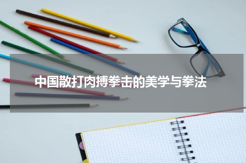 中国散打肉搏拳击的美学与拳法