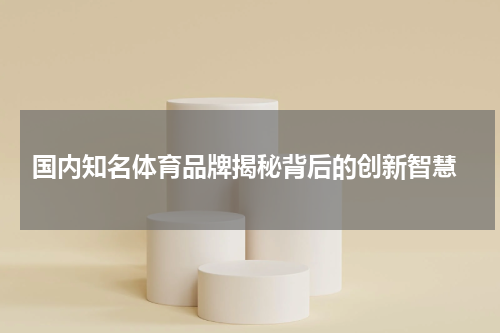  国内知名体育品牌揭秘背后的创新智慧