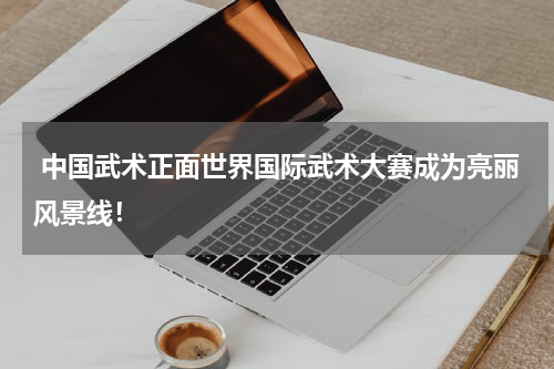  中国武术正面世界国际武术大赛成为亮丽风景线！