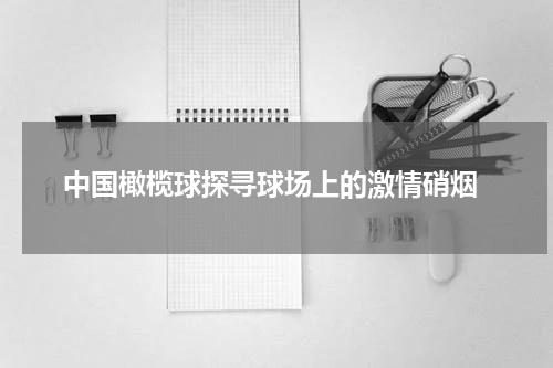  中国橄榄球探寻球场上的激情硝烟