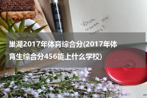 巢湖2017年体育综合分(2017年体育生综合分456能上什么学校)