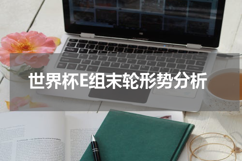 世界杯E组末轮形势分析