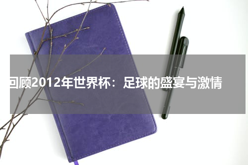 回顾2012年世界杯：足球的盛宴与激情