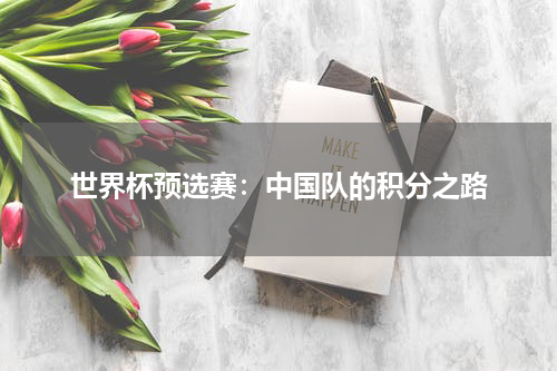 世界杯预选赛：中国队的积分之路