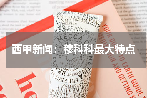 西甲新闻：穆科科最大特点
