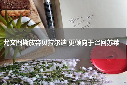 尤文图斯放弃贝拉尔迪 更倾向于召回苏莱